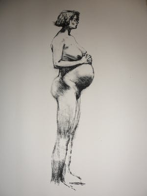 Peter Klashorst - Litho. Titel, "Pregnant". kopen? Bied vanaf 30!