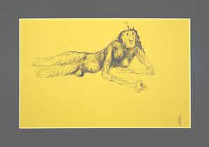 Melle Oldeboerrigter - Inkttekening op papier, z.t. Hermafrodiet verkocht voor € 100!