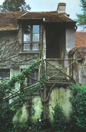 Paul Huf - Foto, Klimop - Ingelijst kopen? Bied vanaf 1!