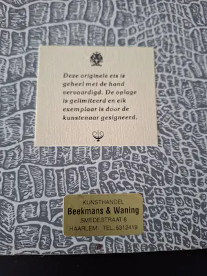 Albertus Wieringa - Ets van St. Bavo Haarlem 100/250 kopen? Bied vanaf 50!