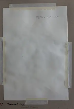 Joop Mijsbergen - Olijfboom kopen? Bied vanaf 100!