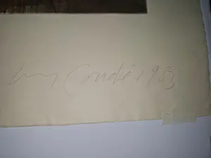 Miguel Conde - geen titel kopen? Bied vanaf 140!