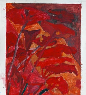 Hans Ebeling Koning - Groot hoefblad in rood kopen? Bied vanaf 100!