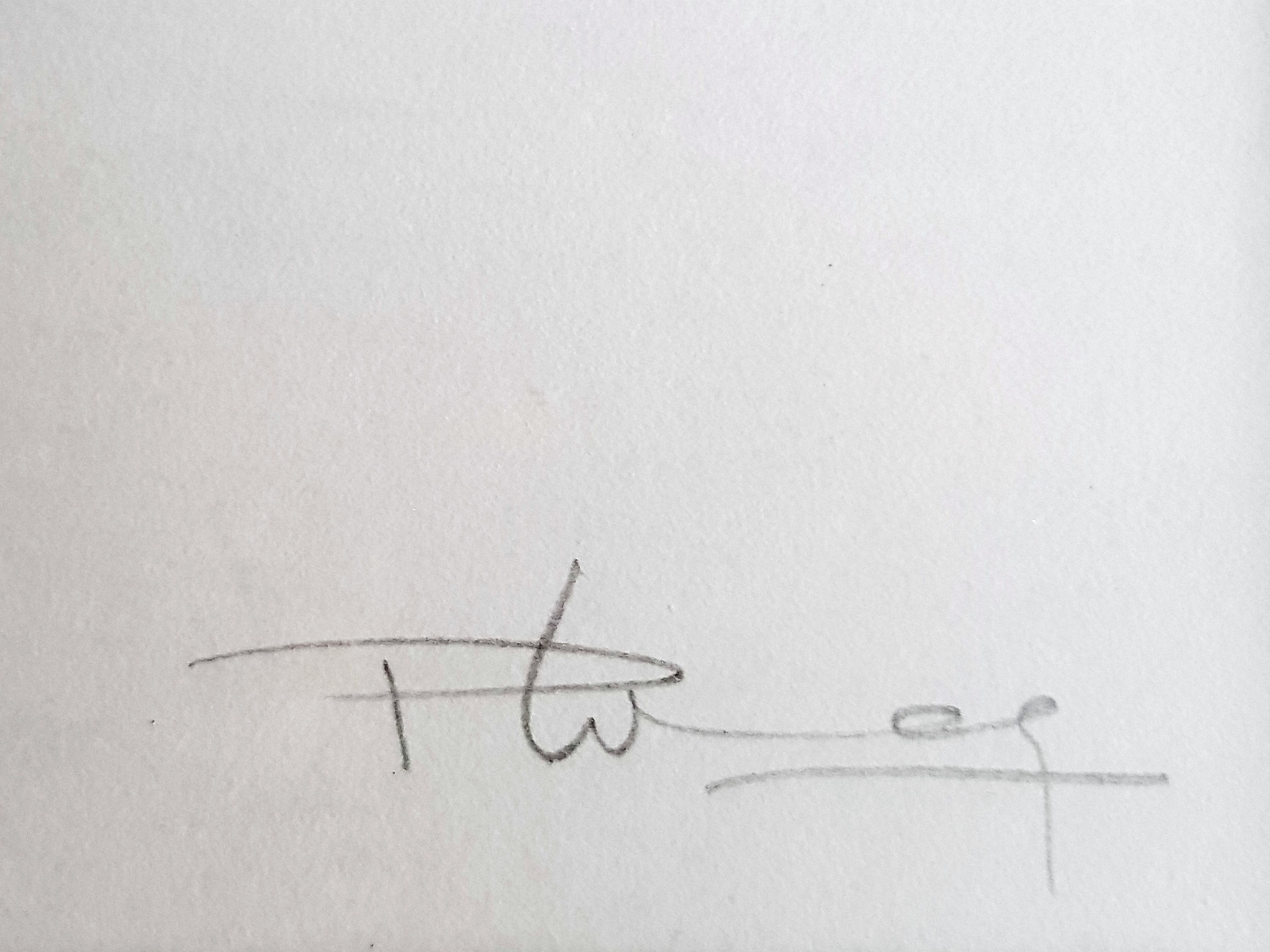 Niet of onleesbaar gesigneerd - Gemengde Techniek - Gesigneerd & Gedateerd kopen? Bied vanaf 1!