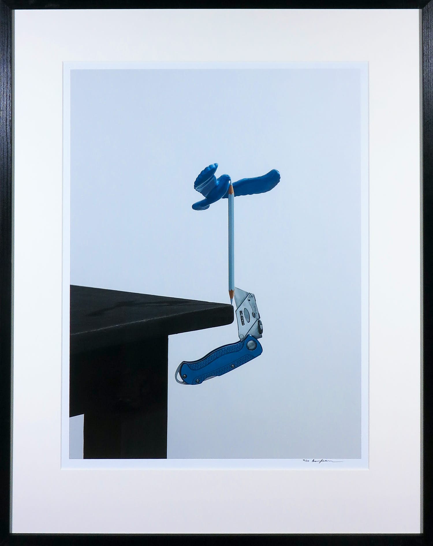 Bram Spaan - Giclee, De balansvogel op het potlood - Ingelijst verkocht voor € 50!