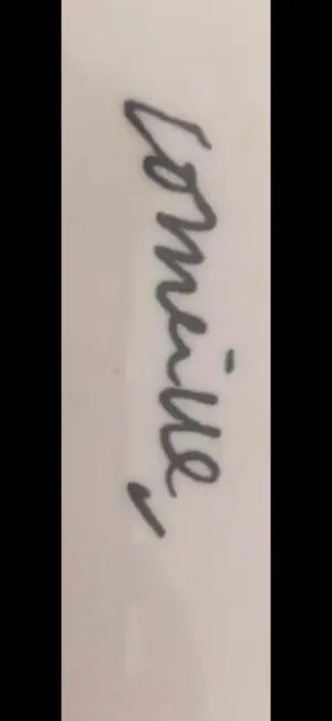 Corneille - Gore borden 4x kopen? Bied vanaf 125!