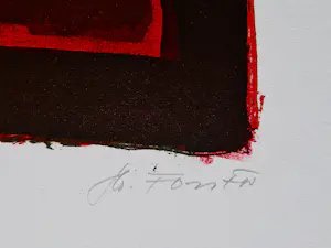 Hans Hafor Forster - Zwitsers kunstschilder en graficus - kleuren Litho - Abstract - gesigneerd kaufen? Bieten Sie von 36!