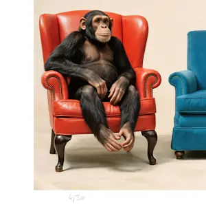 Mr Strange - Kleurrijk leven (III) kopen? Bied vanaf 80!