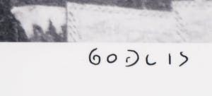 David Godlis - Foto, Joey Ramone kopen? Bied vanaf 200!