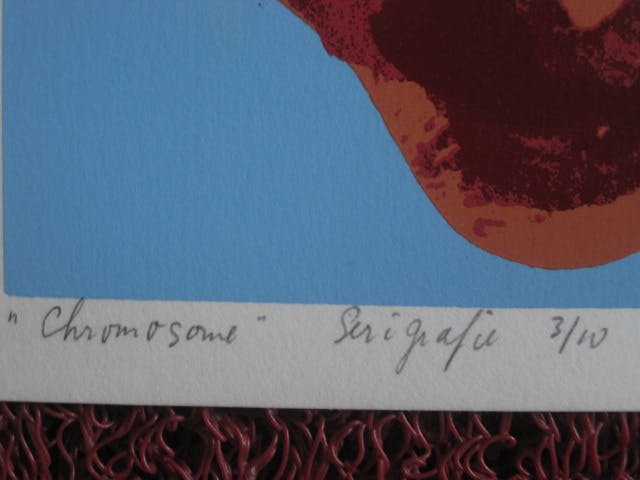 Theo van den Akker - Serigrafie - zeer bep. oplage (10 stuks) "Chromosome" gesigneerd kopen? Bied vanaf 1!
