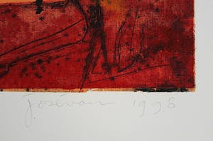 Jose van Tubergen - Discontinu, monotype (groot) kopen? Bied vanaf 50!