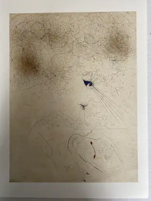 Salvador Dali - 12 stuks litho Venus aux Fourrures kopen? Bied vanaf 185!