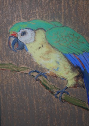 Hugo Berten - Papegaai - uit Berten's kunsthandel in Laren ca. 1930 kopen? Bied vanaf 110!