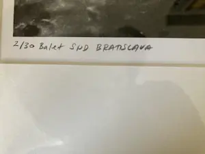 Anton Sladek - Ballerina's kopen? Bied vanaf 75!