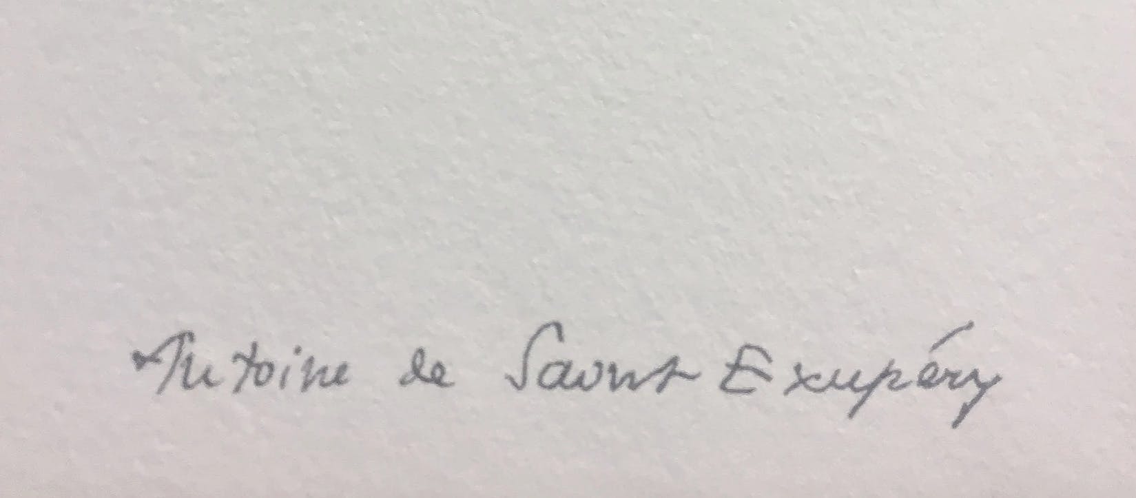 Antoine de Saint-Exupery - Le Petit Prince endormi kopen? Bied vanaf 119!