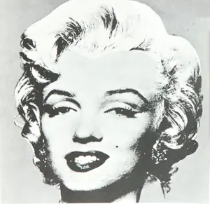 Andy Warhol - Handgesigneerde uitgave van 'Andy Warhol' (met plexiglas case) kopen? Bied vanaf 1!