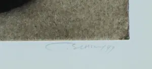 Erik Bersou - 'Surgir' kopen? Bied vanaf 75!