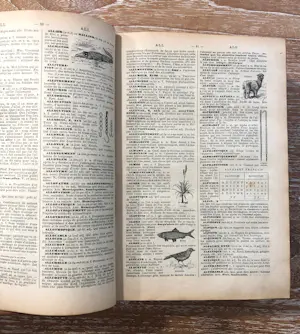 Antiquarisch Boek - Antieke Petit Larousse Illustré kopen? Bied vanaf 75!