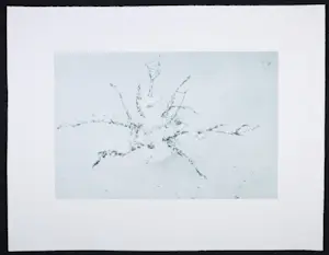 Michael Raedecker - Uit Stedelijk Museum Portfolio 2007, Zonder titel kopen? Bied vanaf 1!