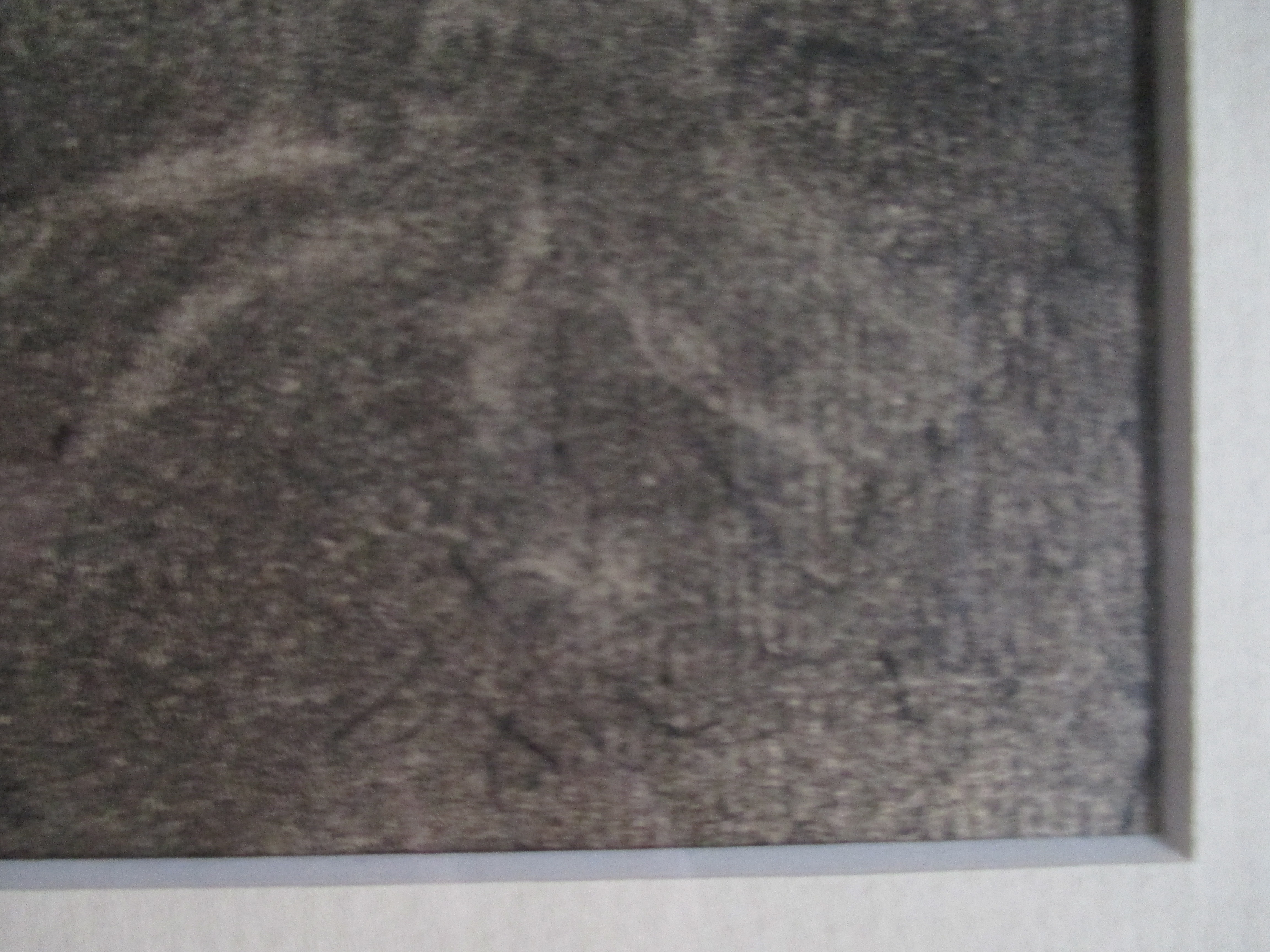 Niet of onleesbaar gesigneerd - Ingelijste krijttekening kopen? Bied vanaf 1!