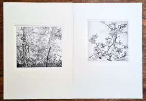 Reinder Homan - 2 handgesigneerde etsen verkocht voor € 100!