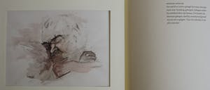 Peter Schenk - De mannen van Mannen B kopen? Bied vanaf 1!