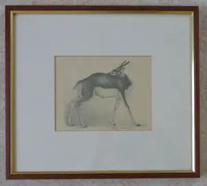 Jan Bezemer - GAZELLE / ZW-W LITHO / 35x39cm / KADER / SIG kopen? Bied vanaf 35!