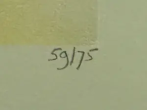 Yvonne Poelstra-Holzhaus - Tulpen in bloei kopen? Bied vanaf 39!