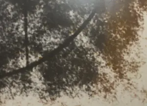 Jean van Wijk - Gemengde techniek op paneel, L. 1153 - Ingelijst (Zeer groot) kopen? Bied vanaf 1!