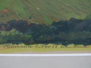 Wim Strörmann - landschap kopen? Bied vanaf 65!