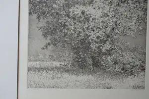 Reinder Homan - LANDSCHAP kopen? Bied vanaf 65!