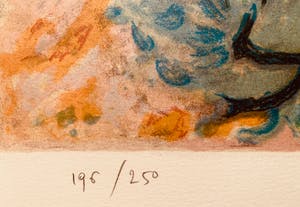 Marie de Valon - Provance V kopen? Bied vanaf 25!