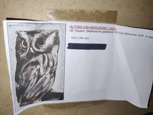 Alfons Van Meirvenne - Aquarel uil kopen? Bied vanaf 500!