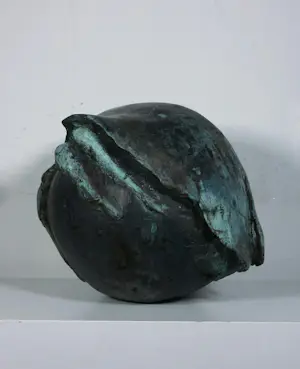 Kiny Copinga - Groot en zwaar bronzen beeld, Mestkever kopen? Bied vanaf 1000!