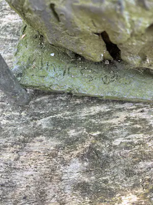 Kiny Copinga - Zittend persoon kopen? Bied vanaf 300!