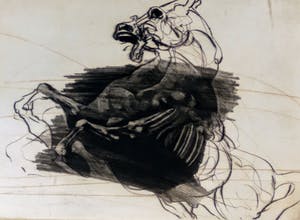 Claude Weisbuch - Steigerend paard kopen? Bied vanaf 75!