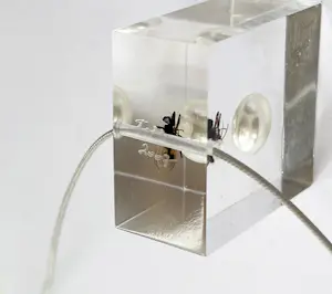 Ted Noten - Fly on cloudy pearl kopen? Bied vanaf 375!