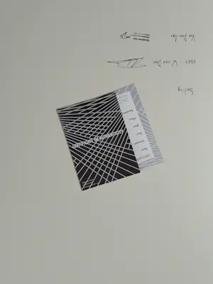 Wiesje van Dam - Sailing kopen? Bied vanaf 20!