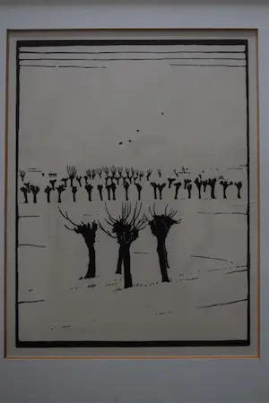 Jan Wittenberg - houtgravure - Knotwilgen kopen? Bied vanaf 110!