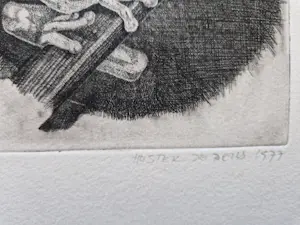 Hester de Beus - Leuke 1977 E.A. droge naald Ets "(gif)Kikker op tak" gesigneerd kopen? Bied vanaf 28!