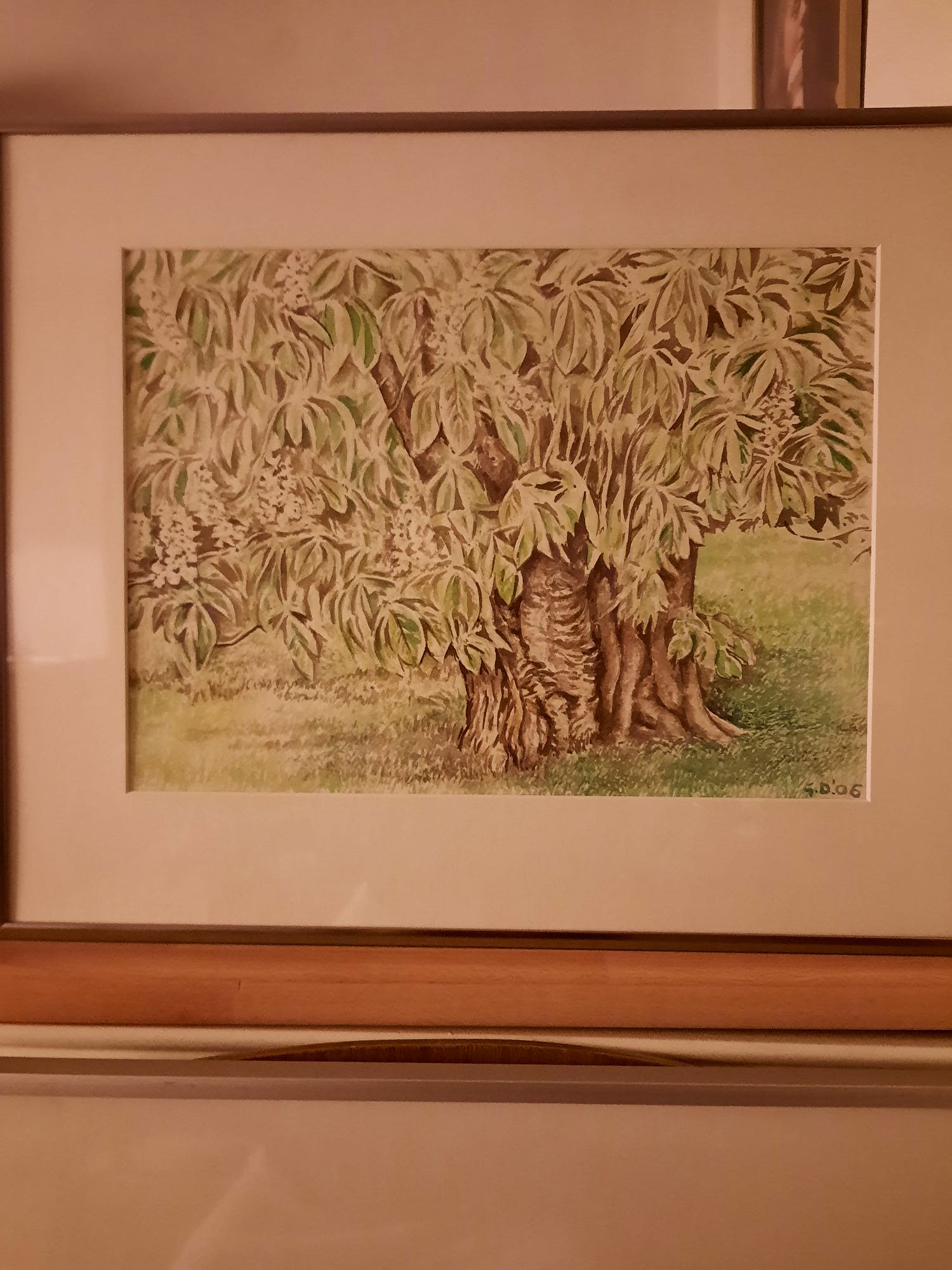 Ger Daniels - Paardenkastanje verkocht voor € 39!