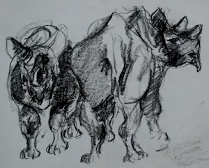 AcheterFrits van Eeden - Potlood tekening: neushoorns? Enchérissez de 49!