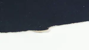 Henri Plaat - Aquarel, Oefenvel voor het landschap kopen? Bied vanaf 70!