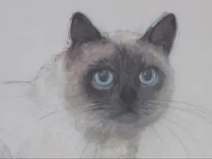 Niet of onleesbaar gesigneerd - Zittende kat - Gemengde techniek kopen? Bied vanaf 1!