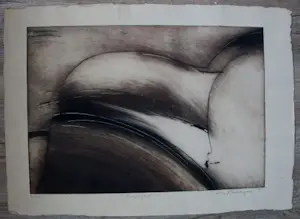 Dana Andreev - Kleurenets: Unexpected Guest - 1989 kopen? Bied vanaf 79!