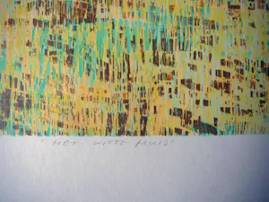 Reinoud Kuipers - Het witte huis - grote houtsnede 1999- kopen? Bied vanaf 45!