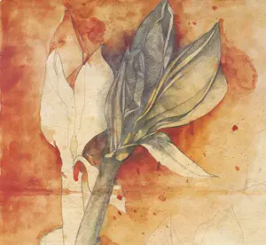 Bruno Bruni - Kleurenoffset-litho AMARYLLIS Handgesigneerd kopen? Bied vanaf 49!