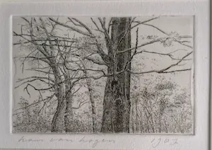 Han van Hagen - Bomen in landschap kopen? Bied vanaf 10!