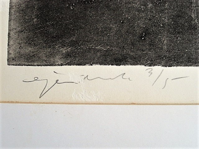 Zoltin Peeter - grote UNICA eigen druk Ets 3/5 "Scandinavië" gesigneerd  kopen? Bied vanaf 1!