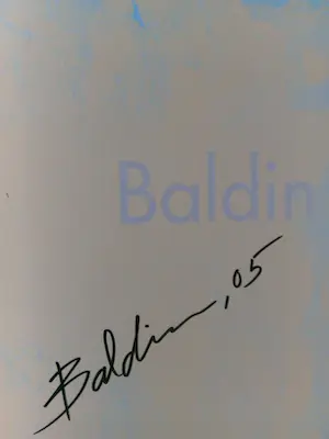 Ahmad Baldin - De Magie van het Moment - NIEUW en GESIGNEERD. kopen? Bied vanaf 15!
